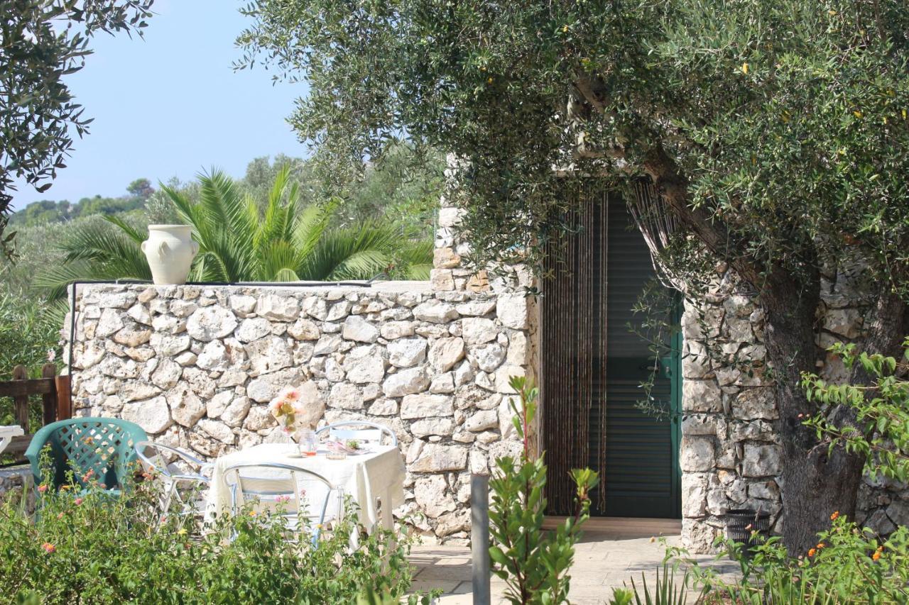 Amoru Bed & Breakfast Castro  Exteriör bild