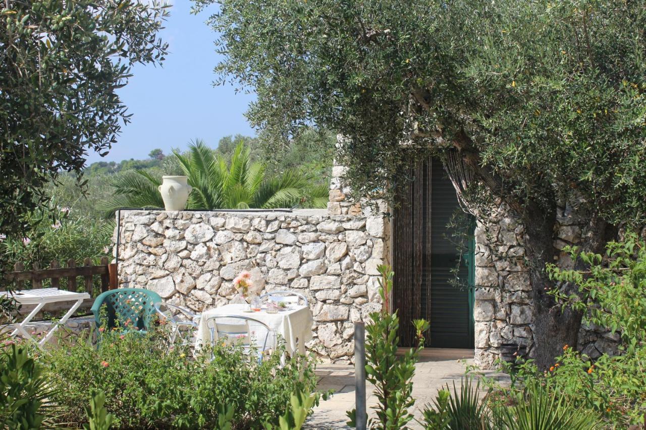 Amoru Bed & Breakfast Castro  Exteriör bild
